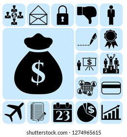 Set of 17 business icons. Collection. Flat design. Vector Illustration.