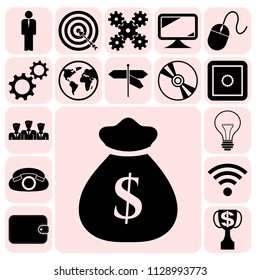 Set of 17 business symbols of icons. Collection. Flat design. Vector Illustration.