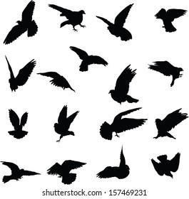Set of 17 silhouettes birds