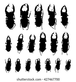 Set of 18 drawing vector isolated silhouettes of Stag beetles - lucanus cervus