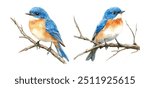 Set of 2 Blue-Tit Bird on a Branch. Watercolor Illustration of a Cute Tiny Titmouse with Yellow and Blue Feathers. Small European Bird Element on White Background.

