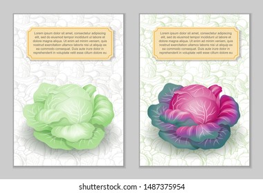 Set of 2 brochures on agricultural theme. Image of purple and white cabbage heads in semi-realistic style on background with line-art retro-style vegetables. Vector illustration, card design template