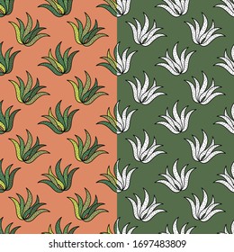 Set with 2 drawn cacti. Green and white. Cactus in the wilderness. Vector illustration for web design or print.