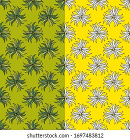 Set with 2 drawn cacti. Green and white. Cactus in the wilderness. Vector illustration for web design or print.