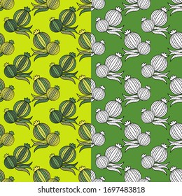 Conjunto con 2 cactus dibujados. Verde y blanco. Cactus en el desierto. Ilustración vectorial para diseño web o impresión.