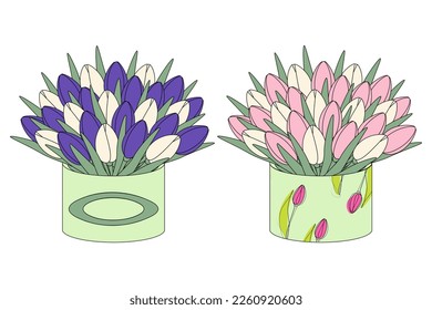Set of 2 lovely bouquet for celebration of colorful tulips in box in cartoon style in trendy shades
