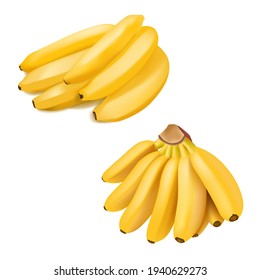 Set of 2 realistic bananas isolated on white background.. Tropical fruits. 3D vector illustration