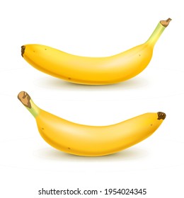 Set of 2 realistic bananas isolated on white background.. Tropical fruits. 3D vector illustration