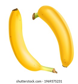 Set of 2 realistic bananas isolated on white background.. Tropical fruits. 3D vector illustration