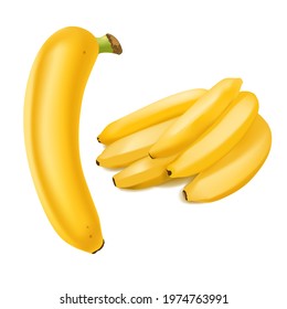Set of 2 realistic bananas isolated on white background.. Tropical fruits. 3D vector illustration