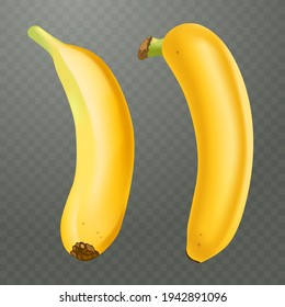 Conjunto de 2 plátanos realistas sobre un fondo transparente a cuadros. Frutas tropicales. Ilustración vectorial 3D