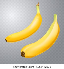 Conjunto de 2 plátanos realistas sobre un fondo transparente a cuadros. Frutas tropicales. Ilustración vectorial 3D