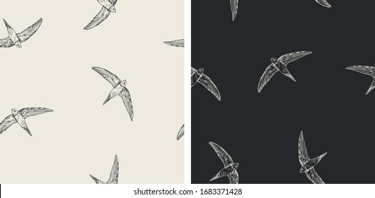 Set of 2 seamless vector pattern with flying swallows, swifts. Doodle dark background with birds