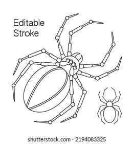 Set of 2 Spiders with editable stroke. Design template elements for Halloween design. Traditional and steampunk style. Spooky, scary, horror halloween decor. Vector.