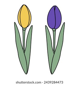 Set of 2 tulips flower in trendy yellow and violet. Design elements for springtime greetings or card