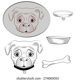 Set of 2 variants of the head dog (pug) and dog accessories. Vector illustration