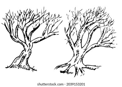 Set 2 Vector Hand Draw Sketch, Big Dead tree
