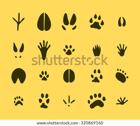 Set of 20 animal footprints