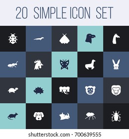 Set Of 20 Animal Icons Set.Collection Of Tortoise, Porcupine, Aquila And Other Elements.