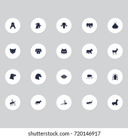 Set Of 20 Animal Icons Set.Collection Of Mouse, Steed, Arachnid And Other Elements.