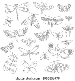 Set of 20 beautiful winged insects, decorated with different ornaments isolated on a white background. All objects are separated. Vector illustration. Hand drawn.