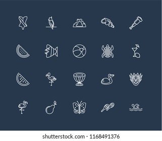 Set Of 20 black linear icons such as Swimming, Maracas, Butterfly, Pear, Flamingo, Spyglass, Tortoise, Drum, Watermelon, Fish, Cave, editable stroke vector icon pack