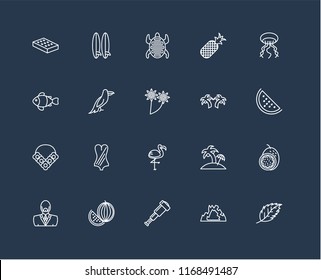 Set Of 20 black linear icons such as Leaf, Cave, Spyglass, Watermelon, Man, Jellyfish, Palm tree, Flamingo, Flower necklace, Parrot, Tortoise, editable stroke vector icon pack