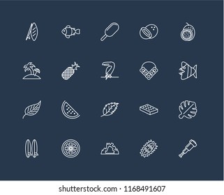 Set Of 20 black linear icons such as Spyglass, Durian, Cave, Grapefruit, Surfboard, Passion fruit, Flower necklace, Leaf, Pineapple, Ice cream, editable stroke vector icon pack