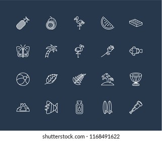 Set Of 20 black linear icons such as Spyglass, Surfboard, Oil, Fish, Cave, Mattress, Flower, Leaf, Beach ball, Palm tree, Flamingo, editable stroke vector icon pack
