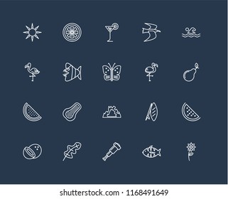 Set Of 20 black linear icons such as Flower, Fish, Spyglass, Leaf, Coconut, Swimming, Flamingo, Cave, Watermelon, Tropical drink, editable stroke vector icon pack