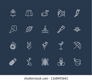 Set Of 20 black linear icons such as Sand bucket, Man, Tortoise, Lemon juice, Pineapple, Toucan, Spyglass, Flamingo, Passion fruit, Leaf, Pelican, editable stroke vector icon pack