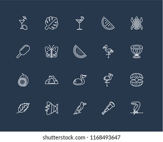 Set Of 20 black linear icons such as Toucan, Spyglass, Parrot, Fish, Leaf, Tortoise, Flamingo, Pelican, Passion fruit, Butterfly, Cocktail, editable stroke vector icon pack