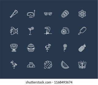 Set Of 20 black linear icons such as Butterfly, Watermelon, Leaf monstera, Cave, Flamingo, Hibiscus, Lime, Drum, Tropical drink, Sunglasses, editable stroke vector icon pack