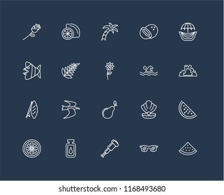 Set Of 20 black linear icons such as Watermelon, Sunglasses, Spyglass, Oil, Grapefruit, Hammocks, Swimming, Pear, Surfboard, Leaf, Palm tree, editable stroke vector icon pack