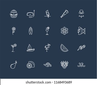 Set Of 20 black linear icons such as Swimming, Yucca, Tortoise, Lime, Pear, Bikini, Hibiscus, Flamingo, Tropical drink, Surfboard, Parrot, editable stroke vector icon pack