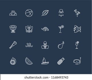 Set Of 20 black linear icons such as Snorkel, Pineapple, Sail, Watermelon, Passion fruit, Flamingo, Tropical drink, Man, Spyglass, Butterfly, Leaf, editable stroke vector icon pack