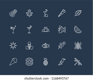 Set Of 20 black linear icons such as Dragon fly, Parrot, Pineapple, Oyster, Ice cream, Leaf, Fish, Sun, Cocktail, Lemon juice, editable stroke vector icon pack