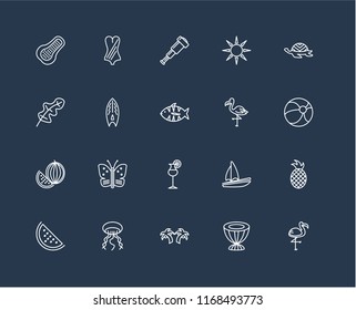 Set Of 20 black linear icons such as Flamingo, Drum, Palm tree, Jellyfish, Watermelon, Tortoise, Cocktail, Surfboard, Spyglass, editable stroke vector icon pack