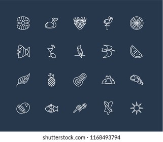 Set Of 20 black linear icons such as Sun, Swimsuit, Maracas, Fish, Coconut, Grapefruit, Albatross, Papaya, Leaf, Lemon juice, Yucca, editable stroke vector icon pack