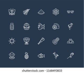 Set Of 20 black linear icons such as Flower, Flamingo, Fish, Pineapple, Conch shell, Sunglasses, Lime, Spyglass, Sun, Hammocks, Watermelon, editable stroke vector icon pack