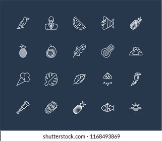 Set Of 20 black linear icons such as Sunset, Fish, Pineapple, Durian, Spyglass, Papaya, Leaf, Ice cream, Passion fruit, Watermelon, editable stroke vector icon pack