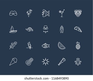 Set Of 20 black linear icons such as Leaf, Spyglass, Sun, Papaya, Ice cream, Yucca, Surfboard, Fish, Tortoise, editable stroke vector icon pack