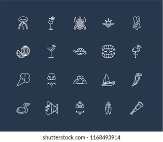 Set Of 20 black linear icons such as Spyglass, Surfboard, Bikini, Fish, Pelican, Swimsuit, Oyster, Cave, Ice cream, Cocktail, Tortoise, editable stroke vector icon pack