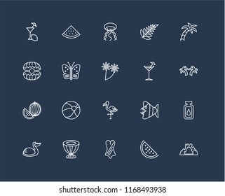 Set Of 20 black linear icons such as Cave, Watermelon, Swimsuit, Drum, Pelican, Palm tree, Cocktail, Flamingo, Butterfly, Jellyfish, editable stroke vector icon pack