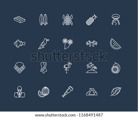 Set Of 20 black linear icons such as Leaf, Cave, Spyglass, Watermelon, Man, Jellyfish, Palm tree, Flamingo, Flower necklace, Parrot, Tortoise, editable stroke vector icon pack