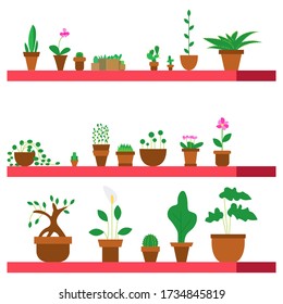 Set of 20 detailed flat plants illustration vector