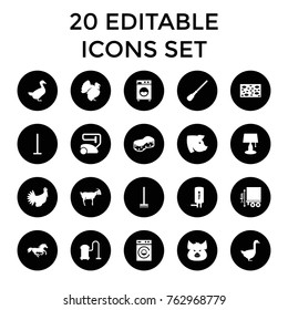 Set of 20 domestic filled icons such as pig, horse, goose, goat, turkey, vacuum cleaner, mop, broom, sponge, washing machine, table lamp, cargo height