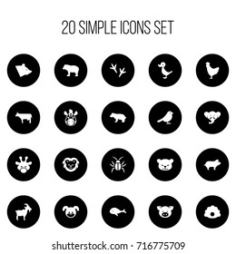 Set Of 20 Editable Animal Icons. Includes Symbols Such As Proboscis, Panda, Pig. Can Be Used For Web, Mobile, UI And Infographic Design.