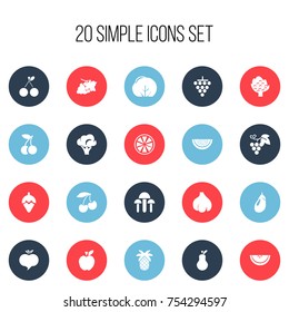 Set Of 20 Editable Dessert Icons. Includes Symbols Such As Grapevine, Delicious, Morello And More. Can Be Used For Web, Mobile, UI And Infographic Design.
