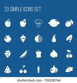 Set Of 20 Editable Fruits Icons. Includes Symbols Such As Seedless, Apricot, Garnet And More. Can Be Used For Web, Mobile, UI And Infographic Design.